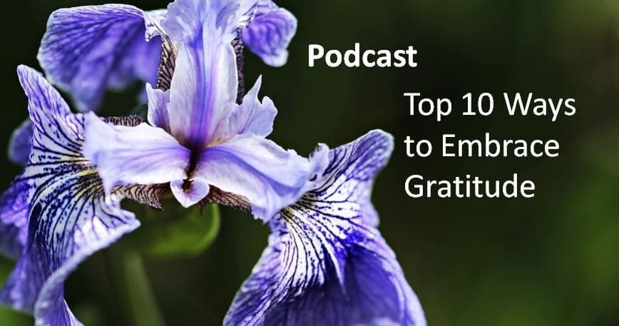 Top 10 Ways to Embrace Gratitude