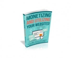 monetizing and utilizing your websites