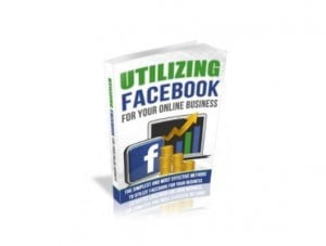 utilizing facebook for your online business
