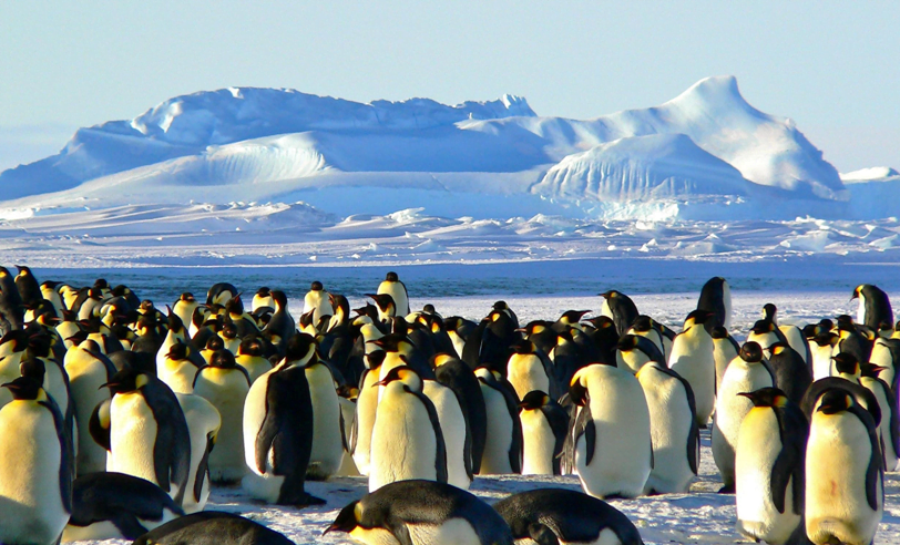 travel antartica