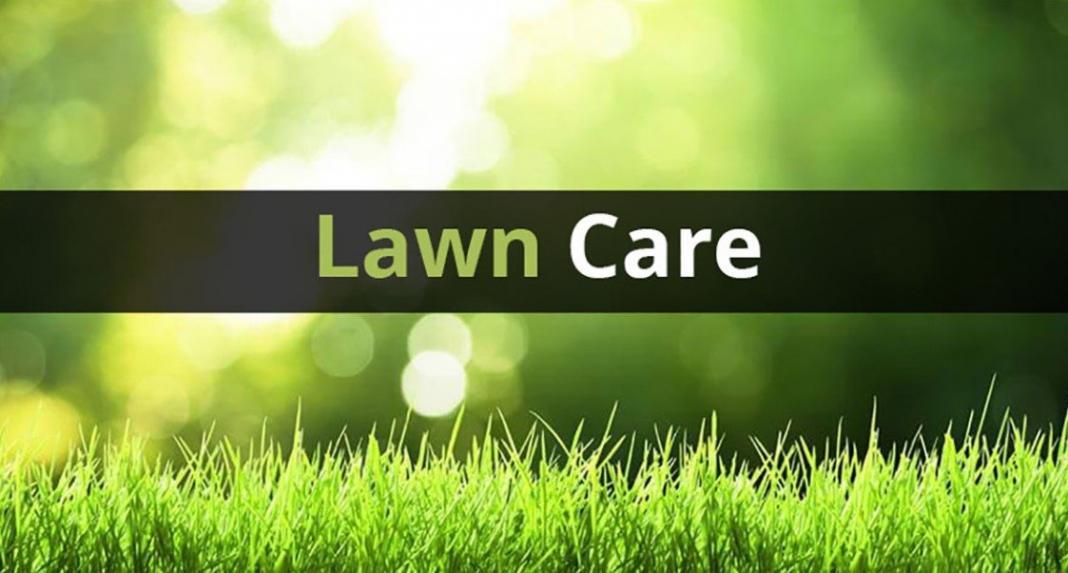 Lawn Care