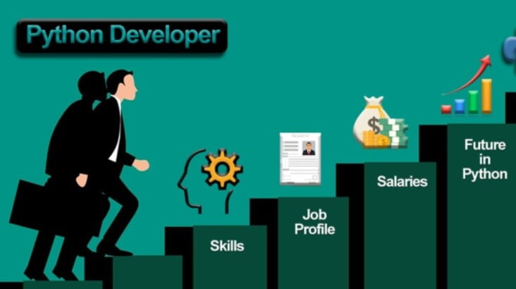 How To Look For A Career Path As Python Developer? - InPeaks