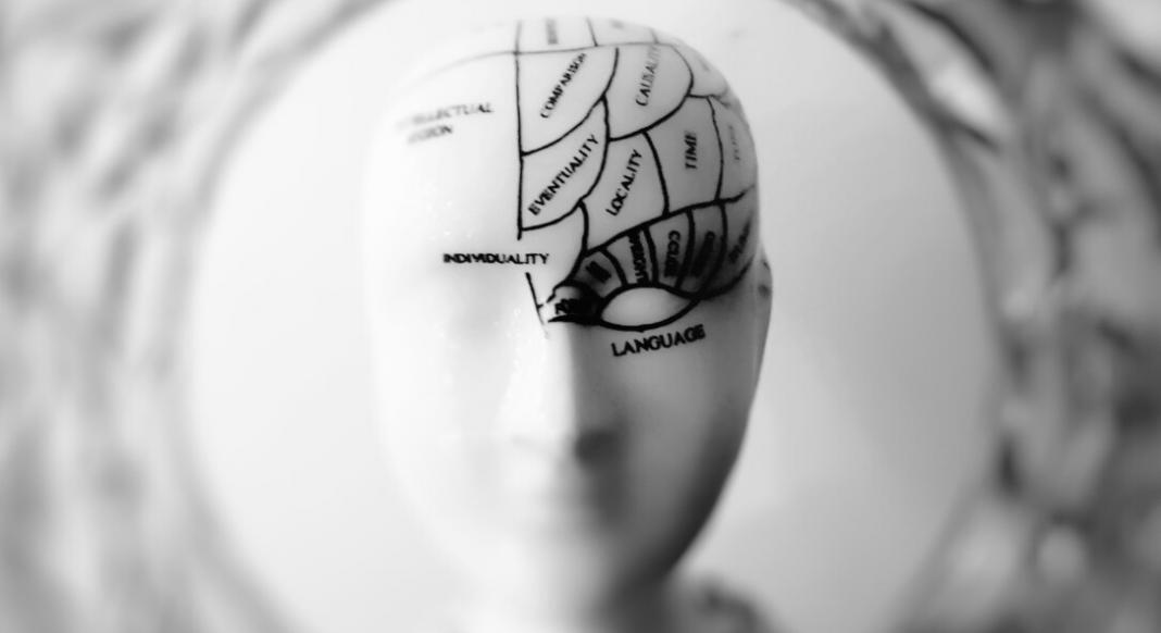 brain