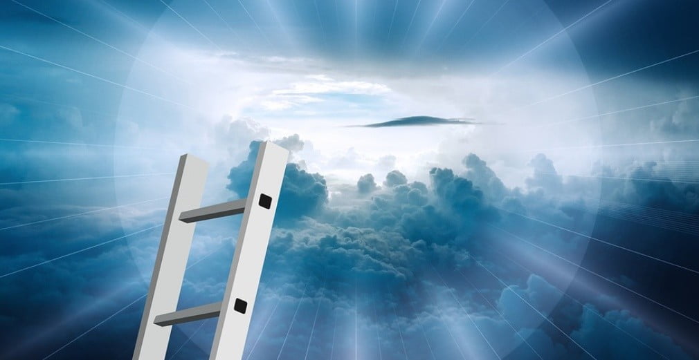 ladder