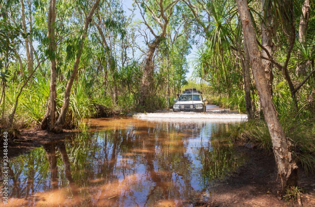 a jeep riding on water in between a large number of trees on a bright day using Stainless Steel Snorkel