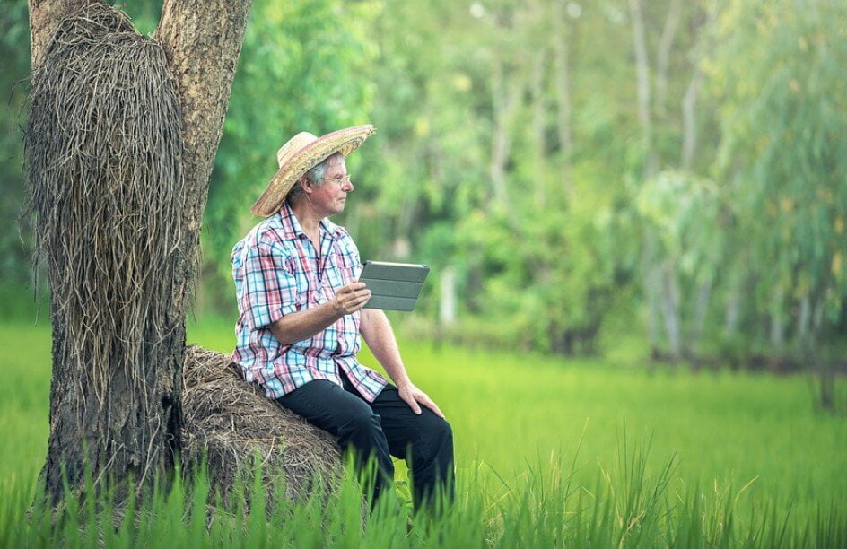 agriculture