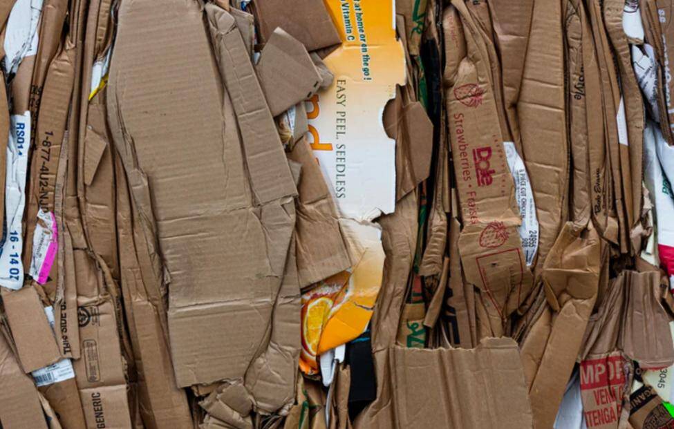 recycle