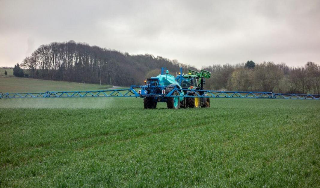 fertilizer