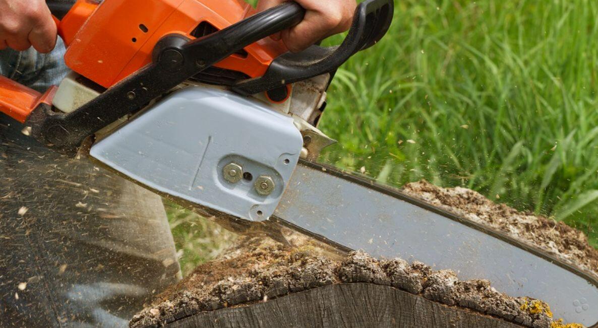 Top Benefits Of Hiring An Arborist For Your Garden Inpeaks