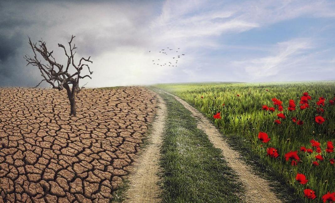 climate change