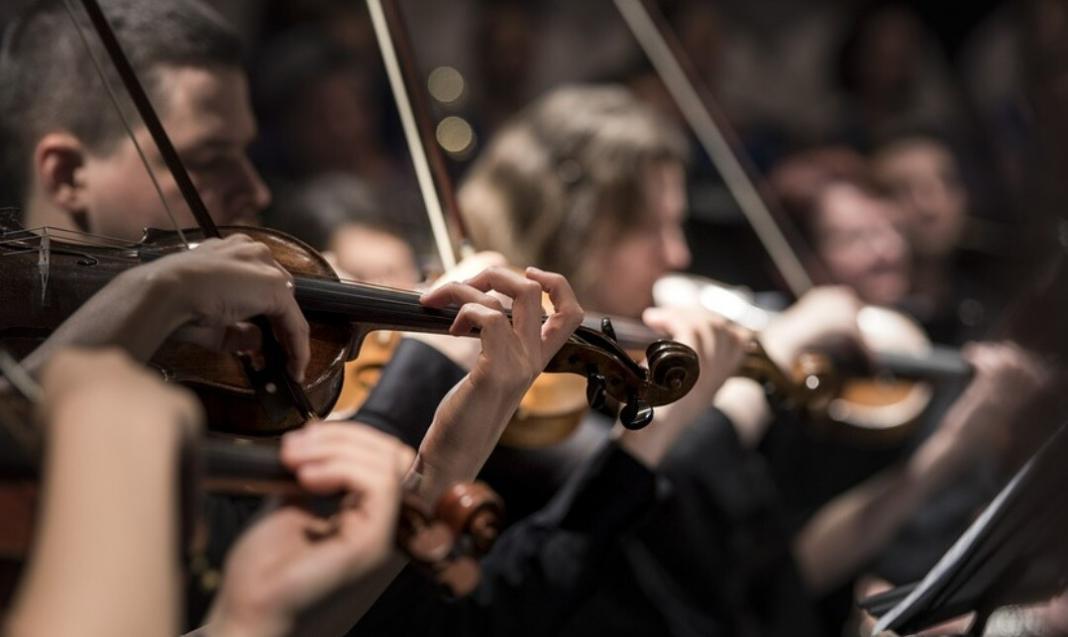 violin