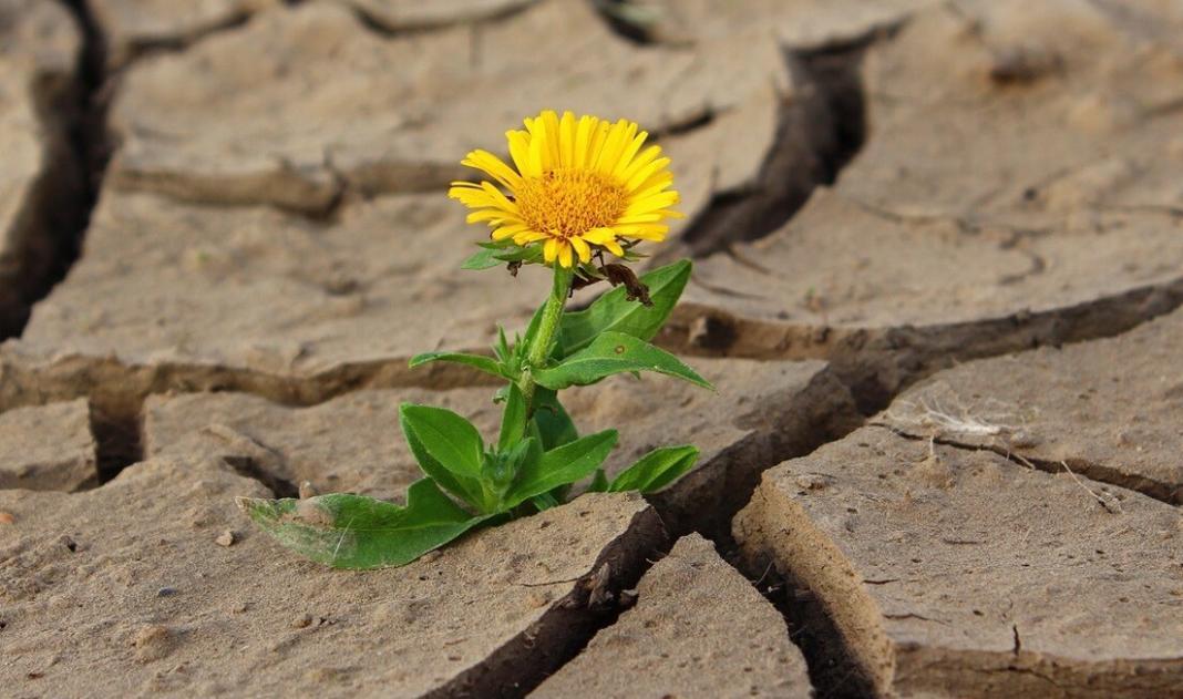 life blog