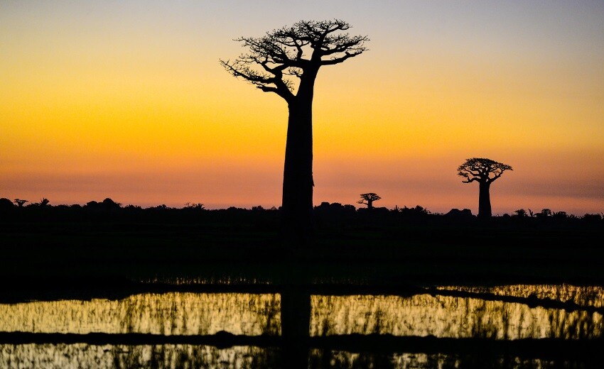 Madagascar sunset