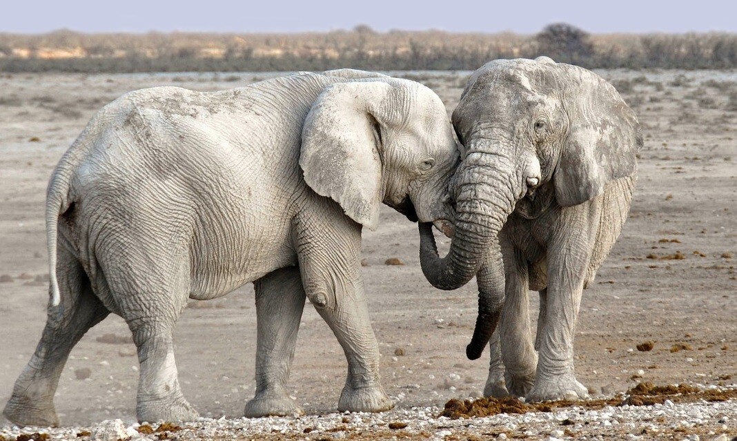 Namibia