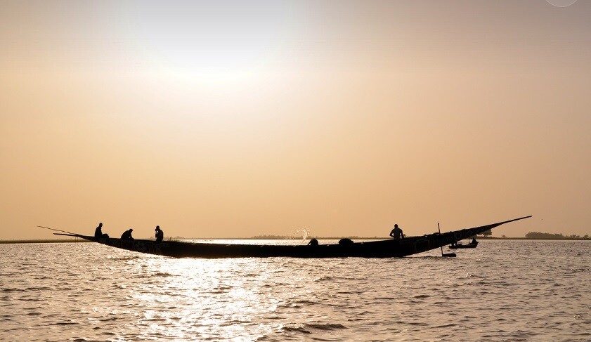 Niger boats