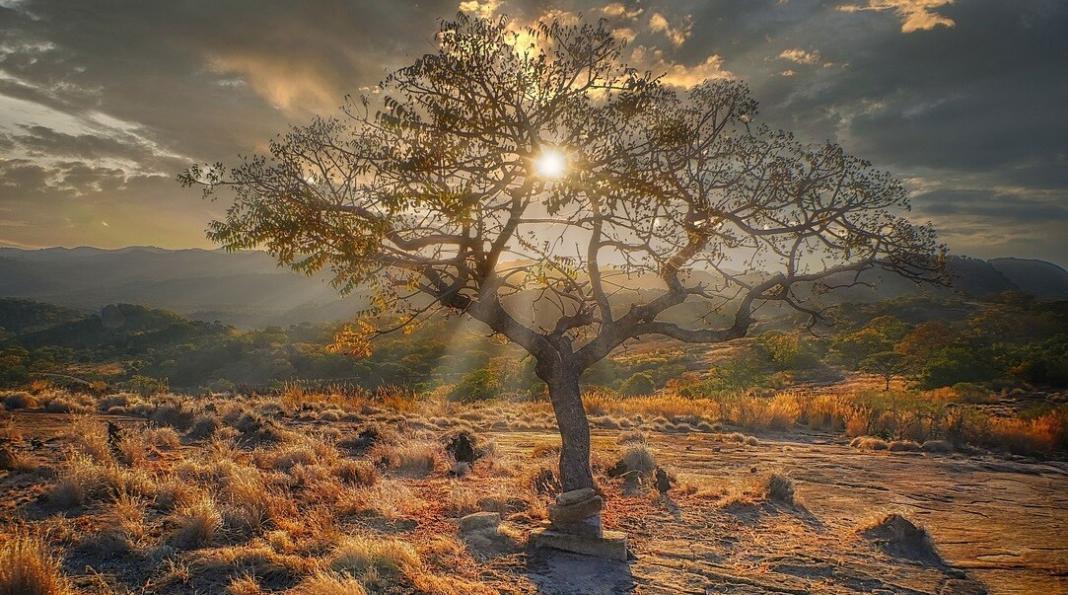 Zimbabwe