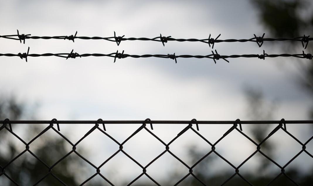 fences