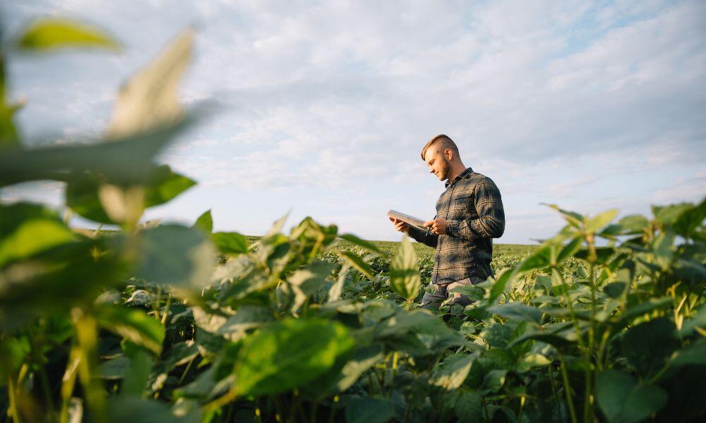 a farmer in the field on How Farmers Are Using Technology To Improve Yields and Efficiency