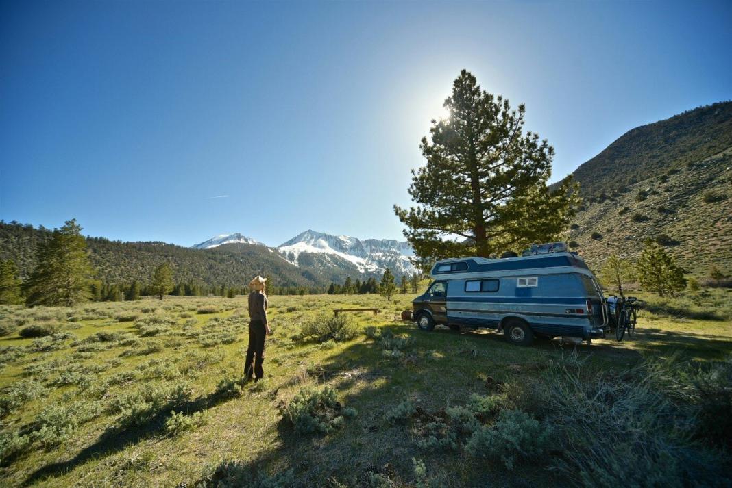 a vehicle moving on the road with a tree on the way and mountain on the other side of the road