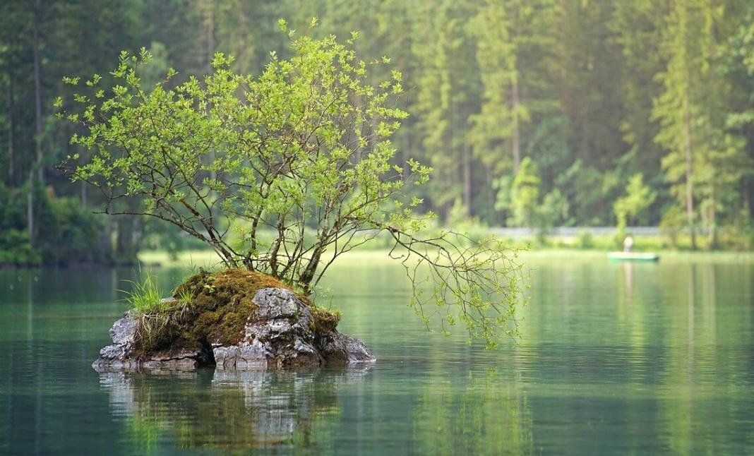 a water body with trees on the background and water in the foreground. A beautiful scenery.