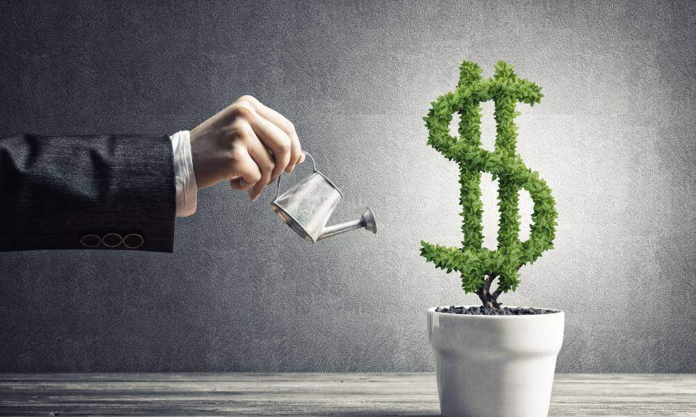 Half arm with a hand wearing suit jacket holding small watering pot close to a plant shaped like a dollar sign on a table.
