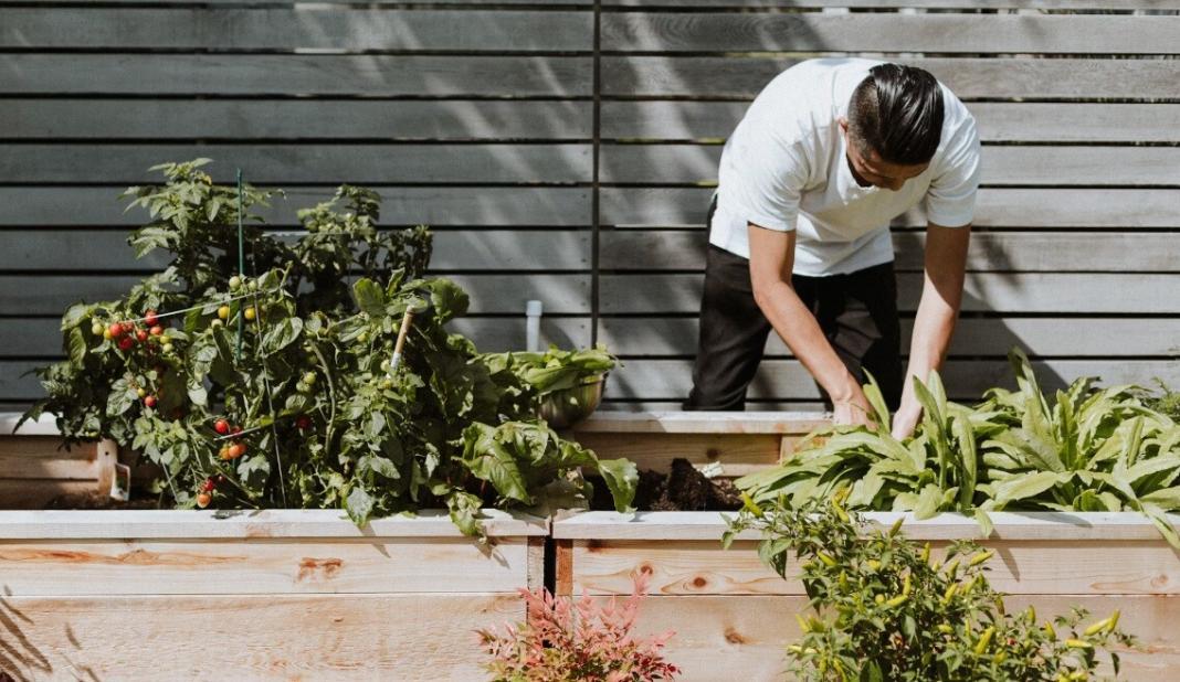 a man planting seeds in the pots in his house outside signifying zero waste gardening