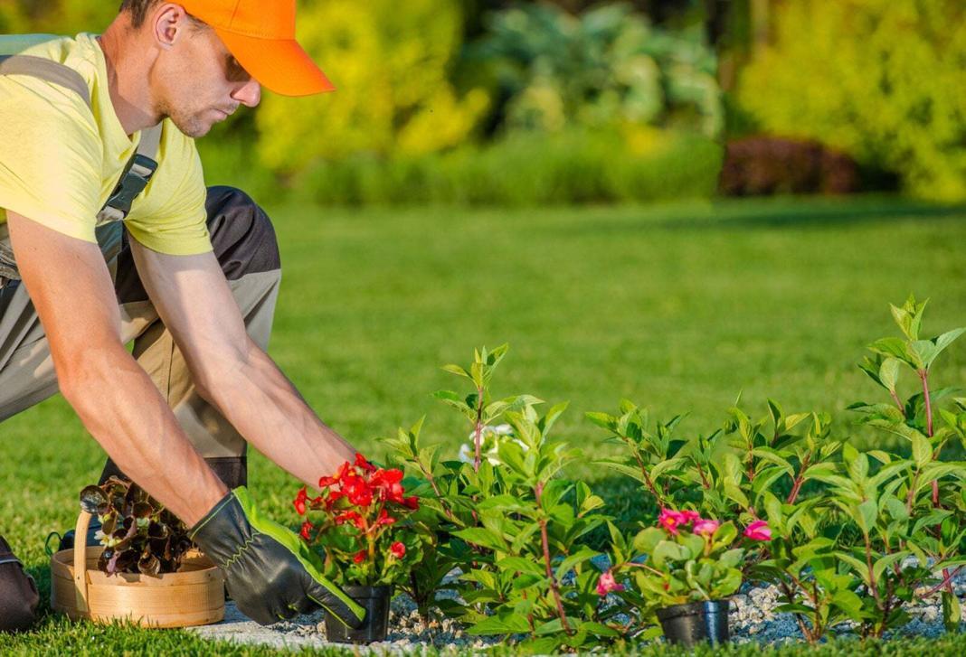 a man having an orange cap and gloves planting seeds on the garden landscape