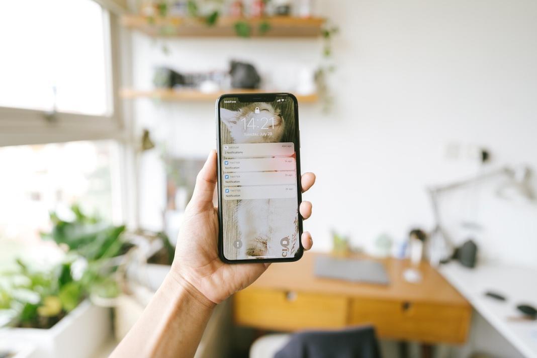 a person holding a phone and plants, and table seen in the background