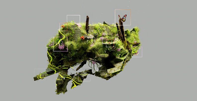 a piece of tree branch where a butterfly sits with 3D view in grey background